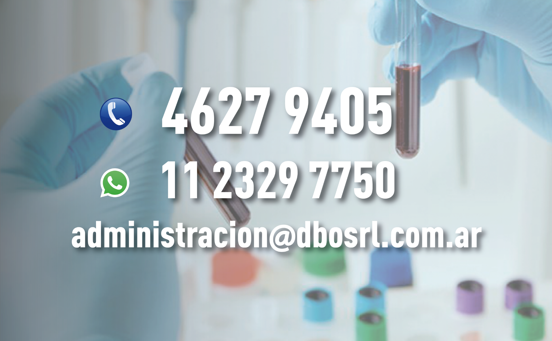 Artículo 5